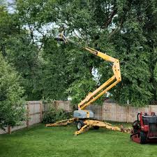 Best Lawn Irrigation Installation and Maintenance  in Great Falls, VA