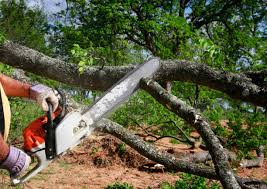 Best Aeration Services  in Great Falls, VA