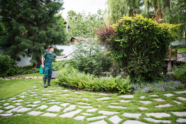 Best Lawn Pest Prevention  in Great Falls, VA
