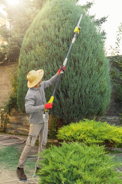 Best Lawn Mowing  in Great Falls, VA